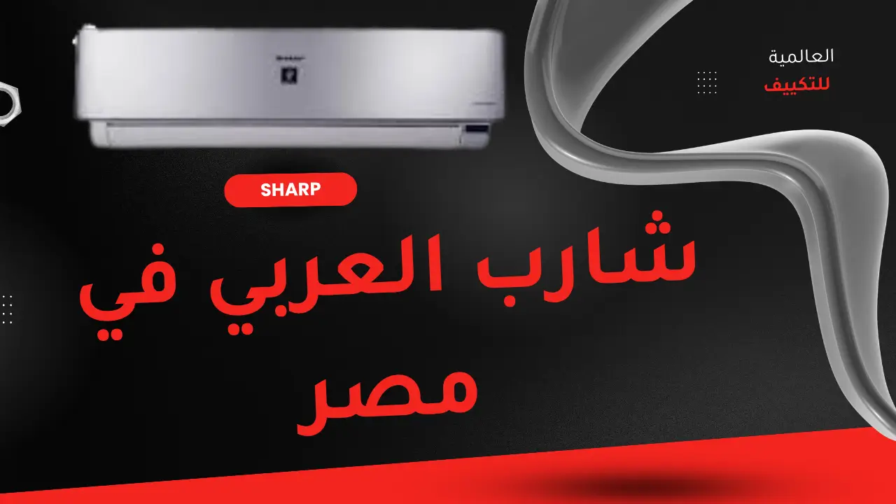 شارب العربي في مصر